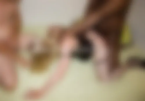 Femme offerte à une grosse bite pour une nuit candauliste à Brest